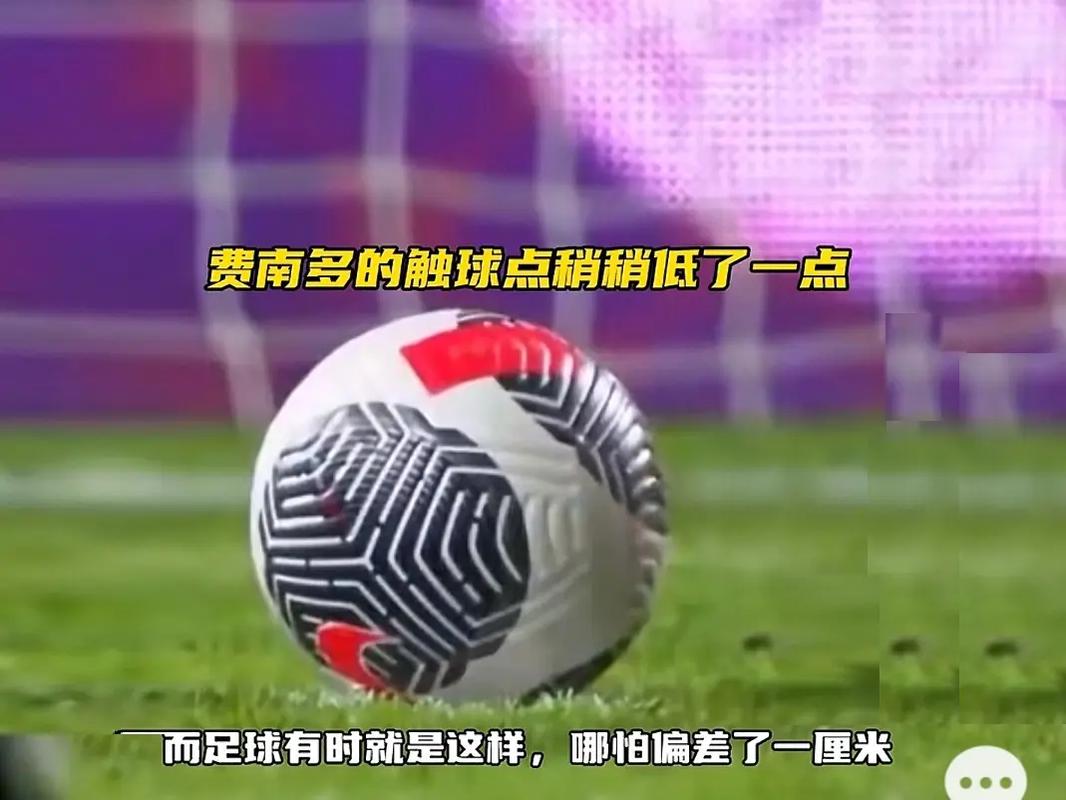 会于近日发