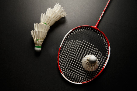 赛季格局 赛季格局