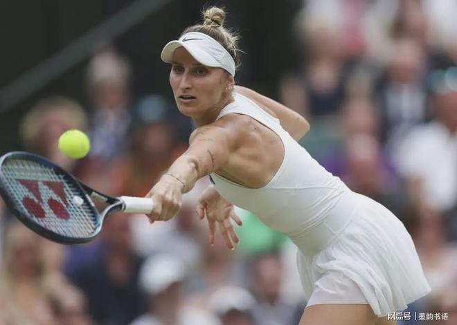 赛所展现的 赛所展现的